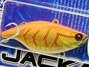 Orange gold shrimp
