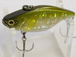 Abalone ayu