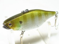 Blue gill