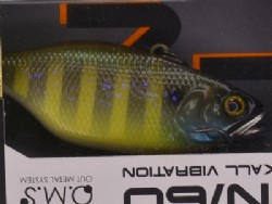 Echu noike gill