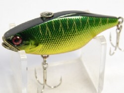 HL tiger