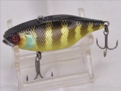 Maruhata gold gill