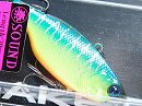 Blue back tiger (Maruhata 17.3g model)