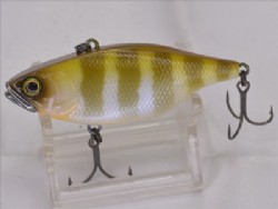 Maruhata shirogill