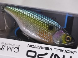 Uroko holo SS shad