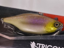 Kawashima prism wakasagi