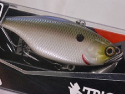 SK pearl shad
