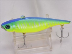 Blue back tiger