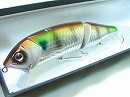 Gill