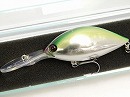 Lime shad