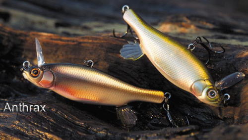 MEGABASS / ANTHRAX