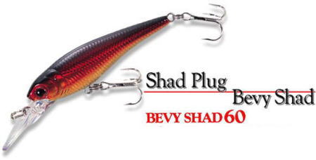 LUCKY CRAFT / BEVY SHAD 60 SP
