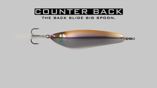 JACKALL / COUNTER BACK