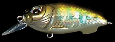 MEGABASS / CYCLONE SR-X