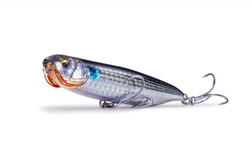 MEGABASS / DOG-X QUICK WALKER SW | IchibanTackle.com