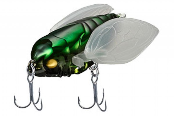 DAIWA / DROWN CICADA REV.