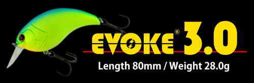 DEPS / EVOKE 3.0