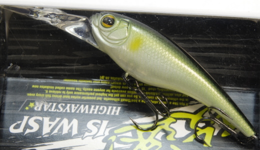 IMAKATSU / KOUSOKU IS WASP