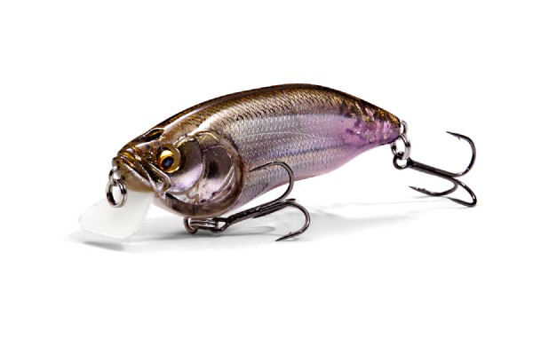 MEGABASS / IxI FURIOUS MODEL 0.5