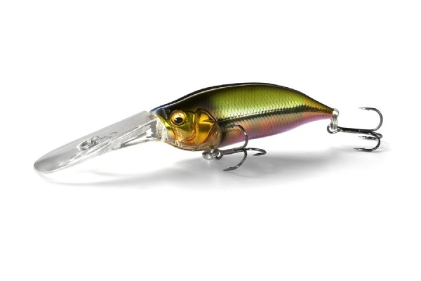 MEGABASS / IxI SHAD TX