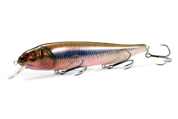 MEGABASS / LATES FEEDINGWOOFER