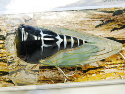 DAIWA / MAD CICADA