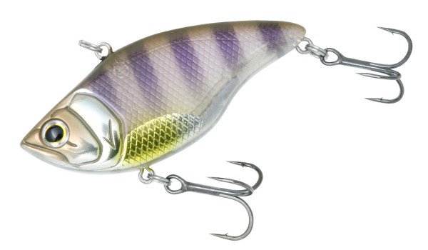 DEPS / MS VIBRATION TG