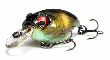 MEGABASS / NEW GRIFFON SR-X