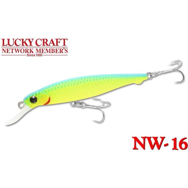 LUCKY CRAFT / AMIGO NW 2016 (MEMBER LIMITED) (USED)