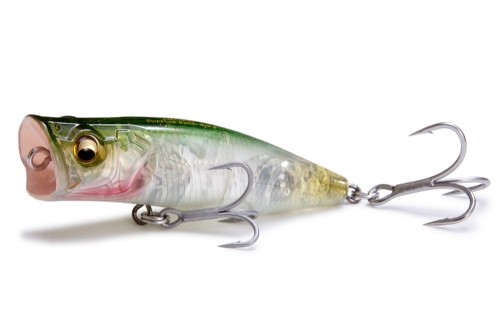 MEGABASS / POPPING DUCK