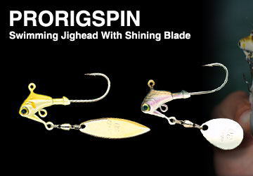 NORIES / PRORIGSPIN 10 g