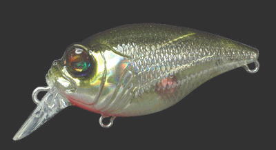 MEGABASS / QUIET GRIFFON SR-X