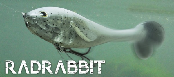DEPS / RADRABBIT