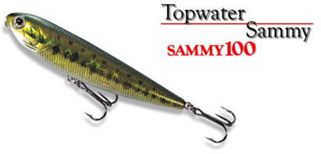LUCKY CRAFT / SAMMY 100