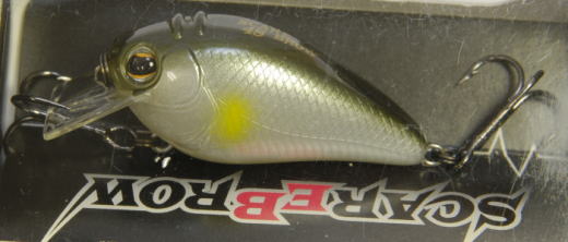 IMAKATSU / SCARE BROW 48
