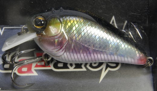 IMAKATSU / SCARE BROW 48 (BONE MODEL)