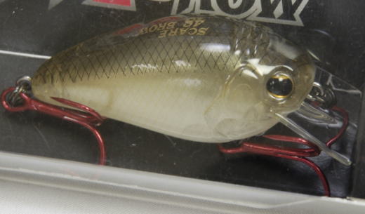 IMAKATSU / SCARE BROW 48 (U.S. SECRET)