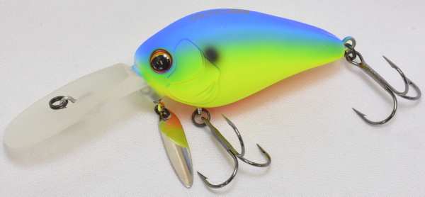 IMAKATSU / SCARE BROW DECEM