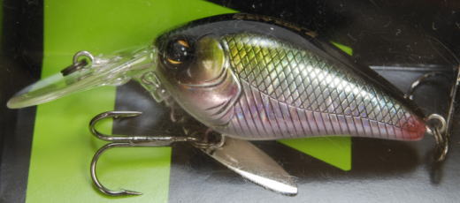 IMAKATSU / SCARE BROW SEVEN