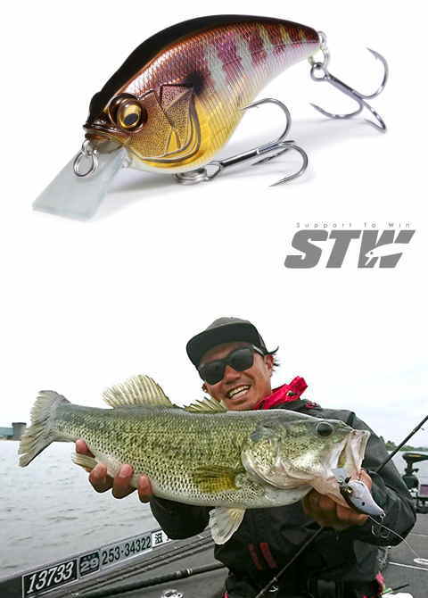 Megabass Sonicside Crankbait