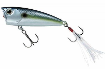 DAIWA / STEEZ POPPER 60F