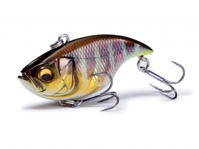MEGABASS / VIBRATION-X DYNA (RATTLE)