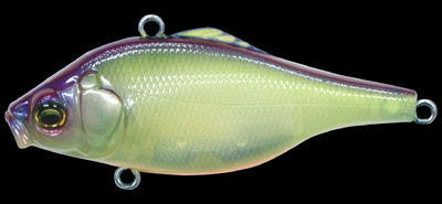 MEGABASS / VIBRATION-X SMATRA