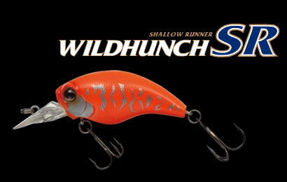EVERGREEN / WILDHUNCH SR
