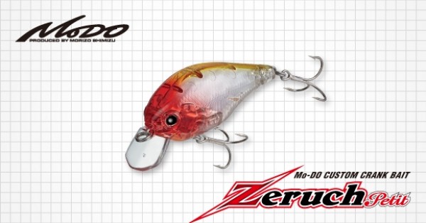 EVERGREEN / ZERUCH PETIT