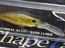TR Back gold / GR