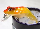 OGF (Orange back goldpearl frog)