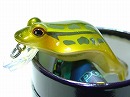 Tonosama frog
