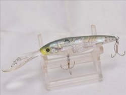Abalone (Silent model)