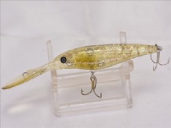 Abalone moebi (Silent model)